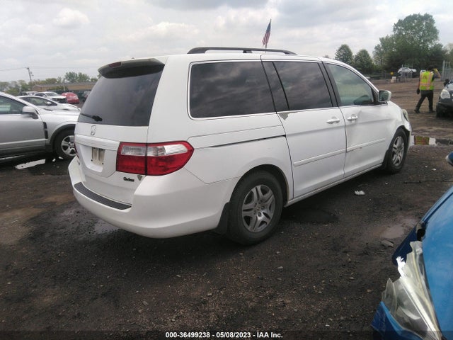 2007 HONDA ODYSSEY EX-L VIN: 5FNRL38697B448970