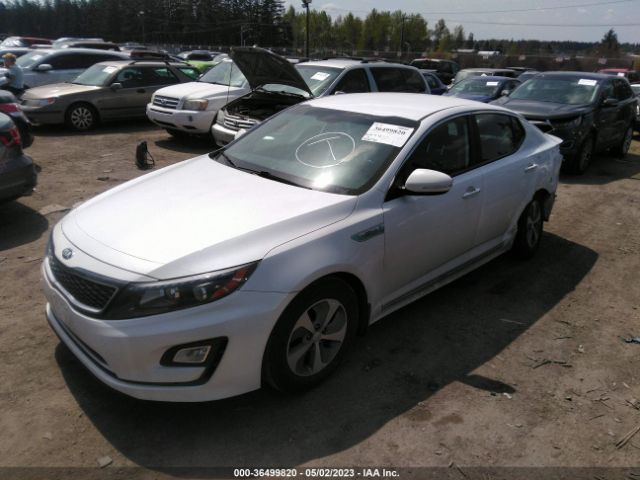 KNAGM4AD4F5078589 KIA OPTIMA HYBRID