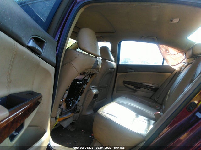 2010 HONDA ACCORD SDN EX-L VIN: 1HGCP2F86AA075980