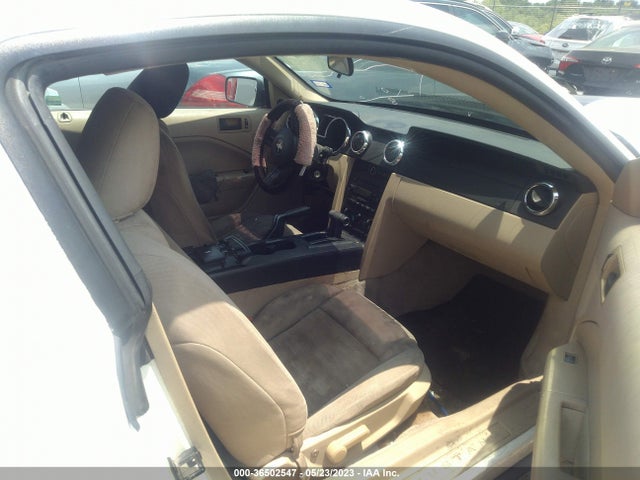 2005 FORD MUSTANG DELUXE/PREMIUM VIN: 1ZVFT80N555206711