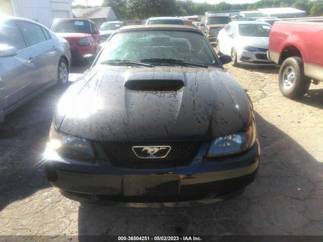 2003 FORD MUSTANG GT VIN: 1FAFP45X43F344571