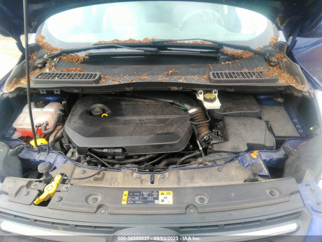 Ford ESCAPE SE 2014 1FMCU0GX3EUB40480 Image 11
