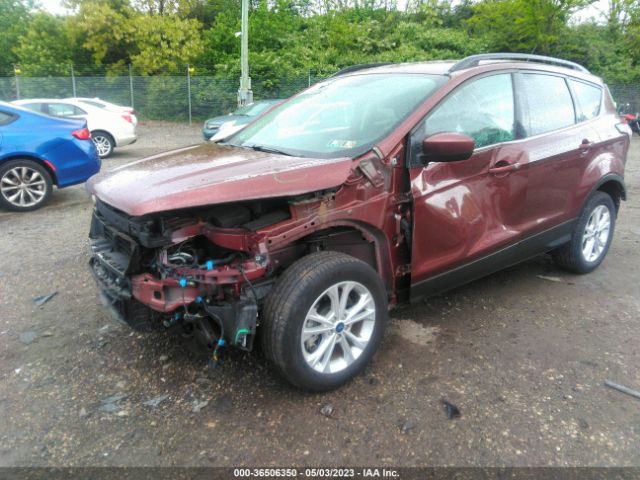1FMCU9GDXJUB94816 Ford ESCAPE SE