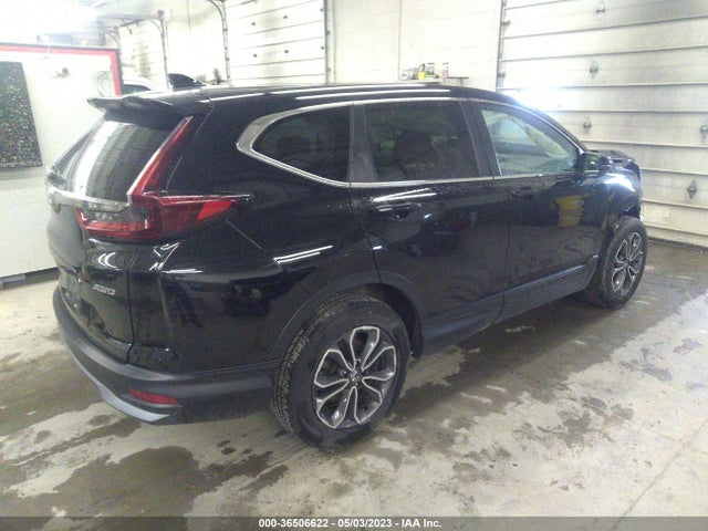 Honda CR-V EX 2020 2HKRW2H54LH600982 Image 4