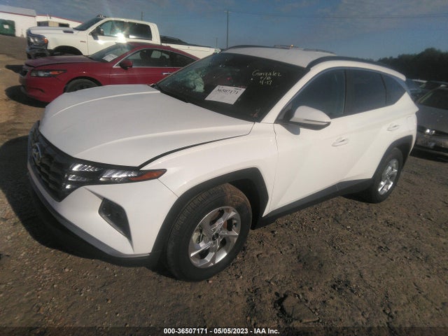 Hyundai TUCSON SEL 2023 5NMJB3AE2PH224648 Image 2