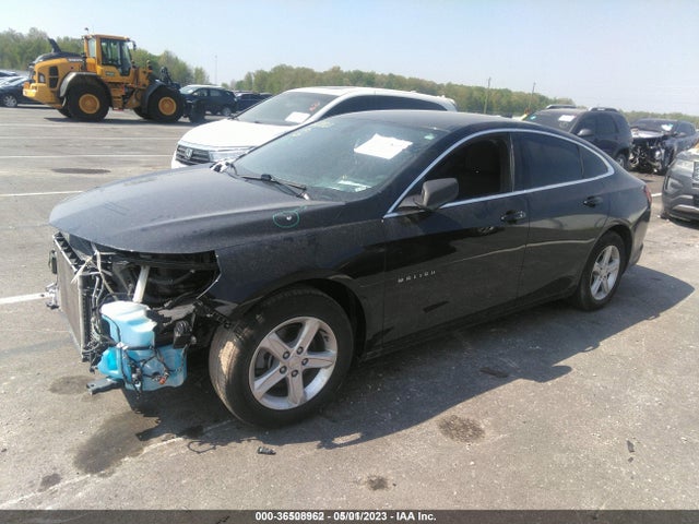 Chevrolet Malibu 1fl 2019 1G1ZC5ST1KF180147 Image 2