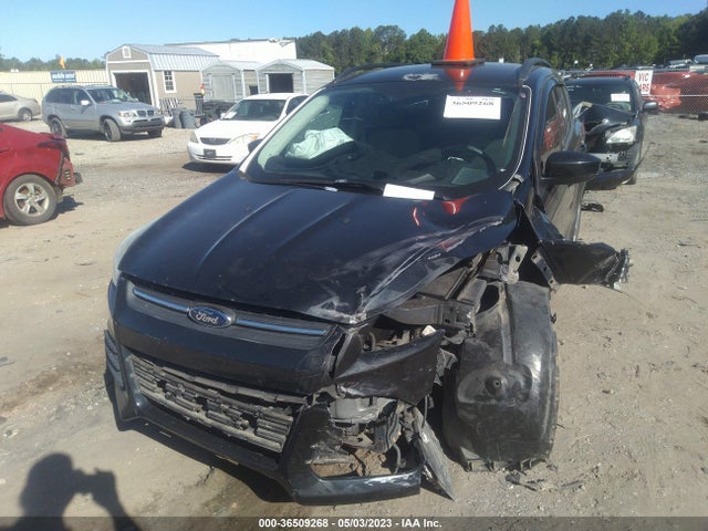 Ford ESCAPE SE 2014 1FMCU9GX6EUA34402 Image 6