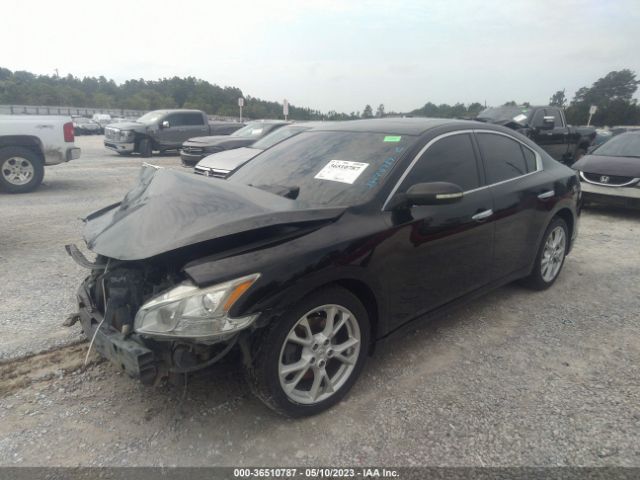 1N4AA5AP4EC459988 Nissan Maxima 3.5 Sv