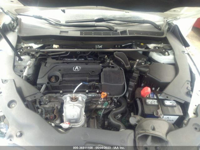 19UUB1F35FA019196 Acura TLX