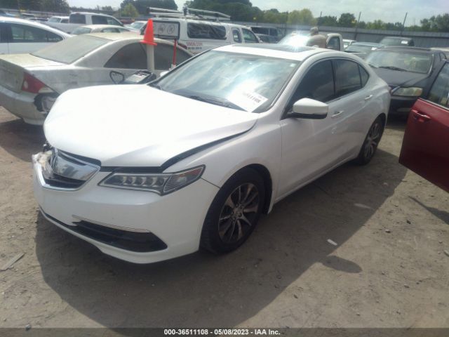 19UUB1F35FA019196 Acura TLX