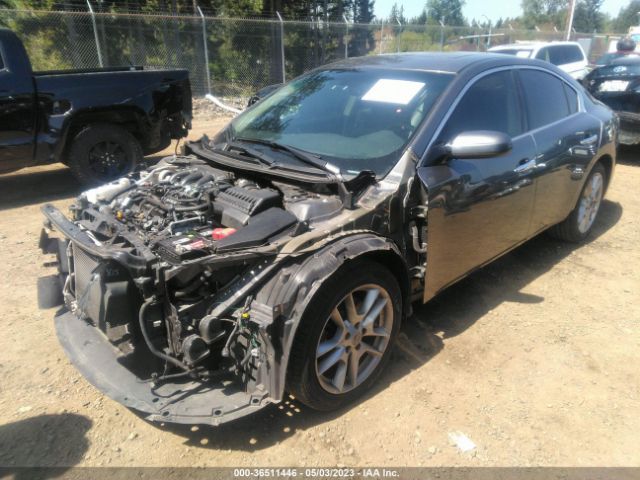 1N4AA5AP2EC443322 Nissan Maxima 3.5 S