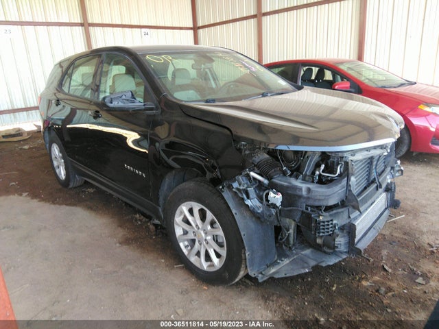 Chevrolet EQUINOX LS 2019 3GNAXHEV5KL264279 Image 1