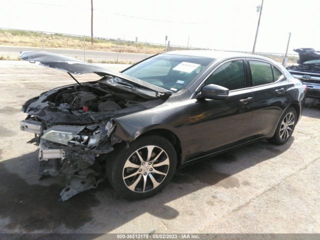 19UUB1F50FA019284 Acura TLX TECH