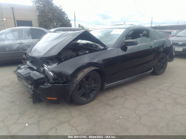 2012 FORD MUSTANG V6 VIN: 1ZVBP8AM6C5262243