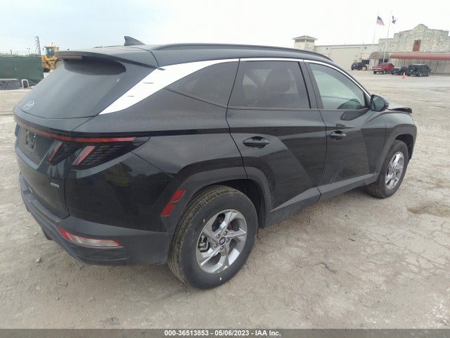 Hyundai TUCSON SEL 2023 5NMJBCAE1PH217240 Image 6