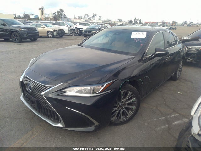 58ADA1C10MU004335 Lexus Es Es 300h