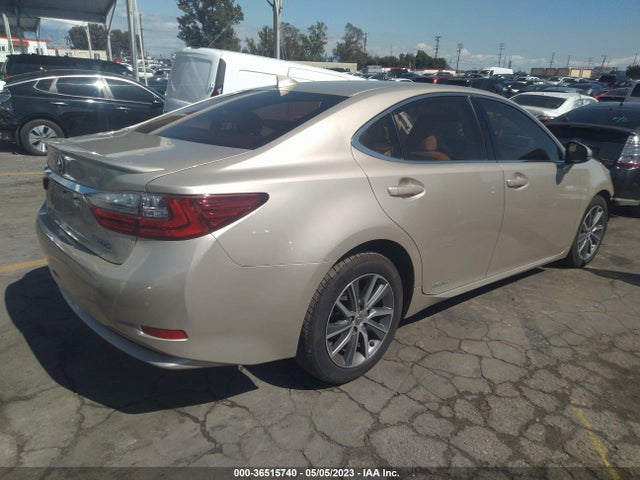 JTHBW1GG8G2109724 Lexus Es 300h Hybrid