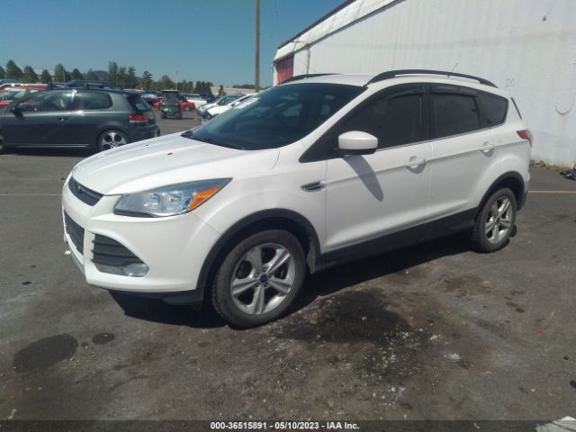 1FMCU0GX8EUD01292 Ford ESCAPE SE