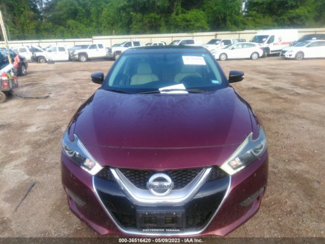 1N4AA6AP7GC423012 Nissan Maxima 3.5 Sl