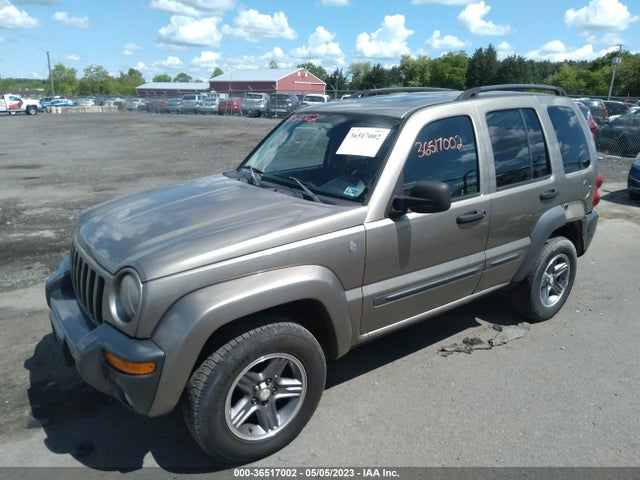 2004 JEEP LIBERTY SPORT VIN: 1J8GL48K54W320574