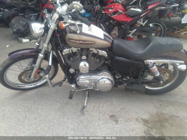 2007 HARLEY-DAVIDSON XL1200 1HD1CT3157K461810 Photo 8