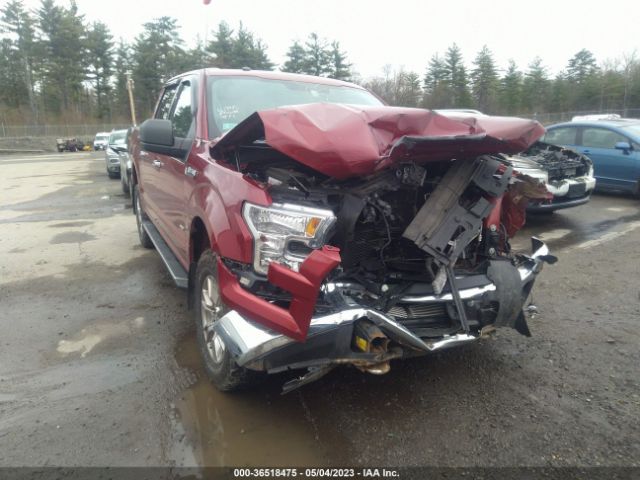 1FTEW1EG9GFB23318 Ford F-150 Xlt/xl/lariat/platinum