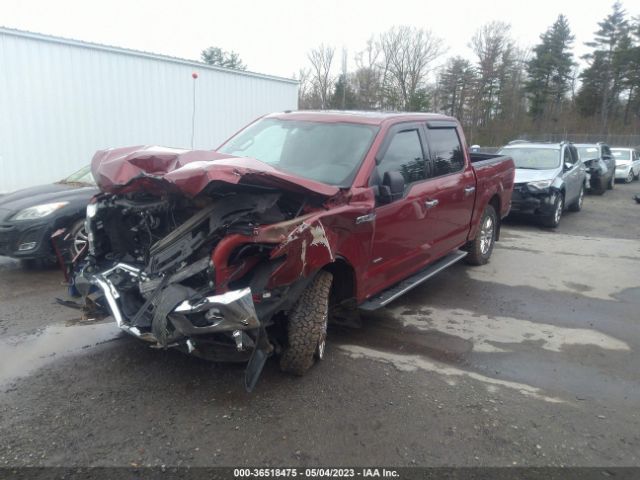 1FTEW1EG9GFB23318 Ford F-150 Xlt/xl/lariat/platinum