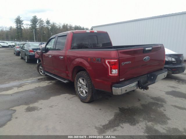 1FTEW1EG9GFB23318 Ford F-150 Xlt/xl/lariat/platinum