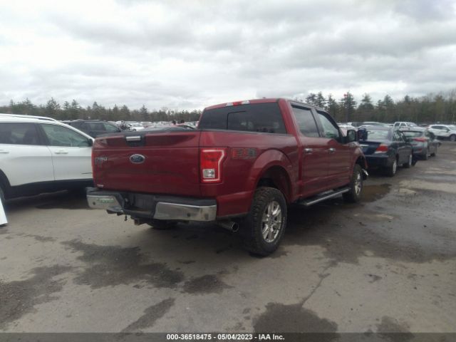 1FTEW1EG9GFB23318 Ford F-150 Xlt/xl/lariat/platinum