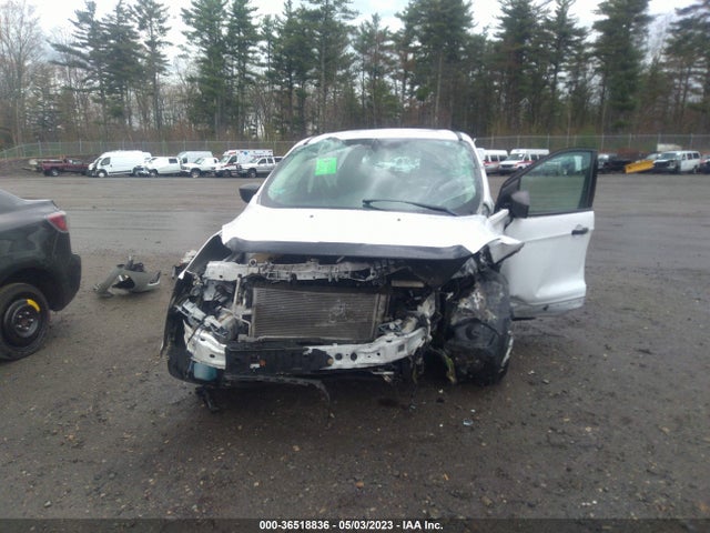 Ford ESCAPE S 2014 1FMCU0F77EUB67893 Image 12