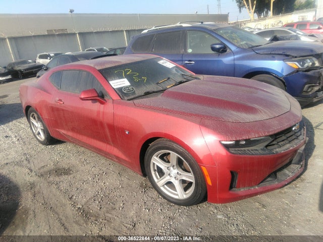 2019 1G1FB1RX6K0116681 main image