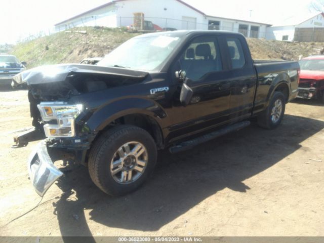 1FTEX1E81FFC53453 Ford F-150 Xlt/xl