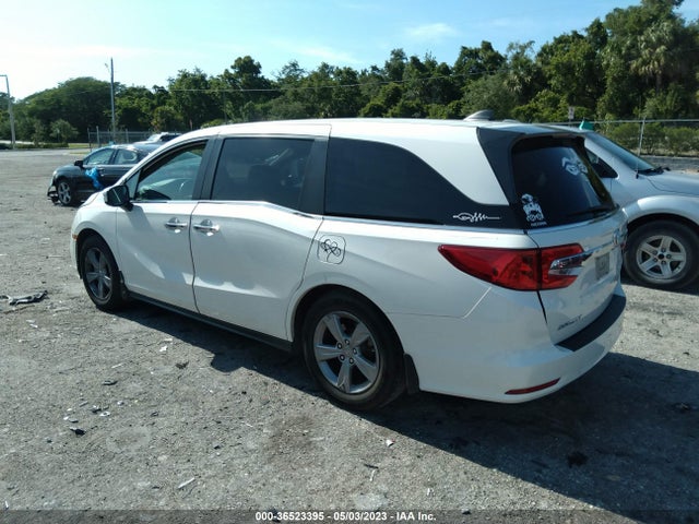 Honda Odyssey Ex-l 2019 5FNRL6H76KB019059 Image 3