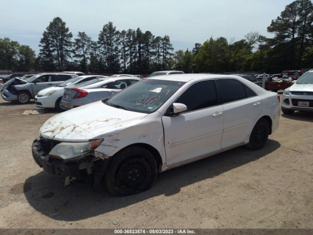 4T4BF1FK1ER401516 Toyota Camry L/le/xle/se/se Sport