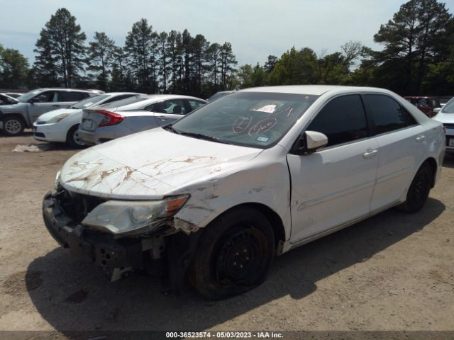 4T4BF1FK1ER401516 Toyota Camry L/le/xle/se/se Sport
