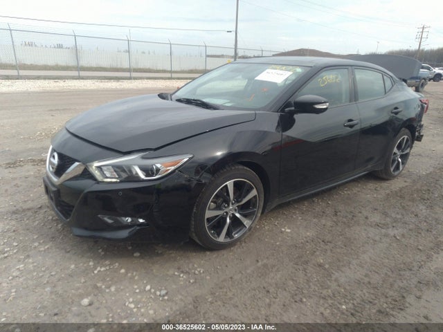 Nissan Maxima 3.5 Platinum 2016 1N4AA6AP2GC441790 Image 2