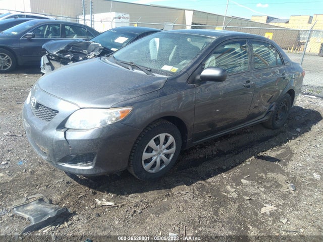 2010 TOYOTA COROLLA VIN: 2T1BU4EE5AC282331