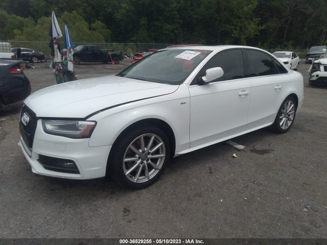 WAUFFAFL9FN020854 Audi A4 Premium Plus
