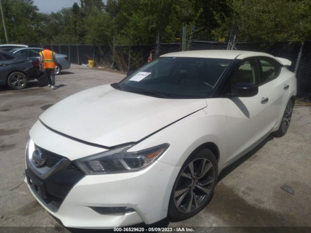 1N4AA6APXGC907479 Nissan Maxima 3.5 S