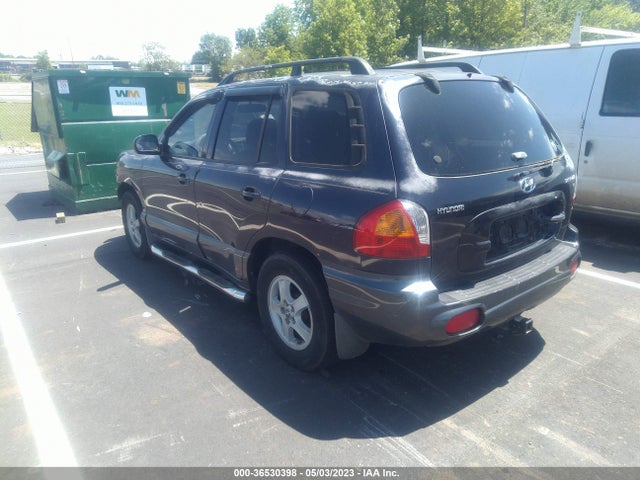 2004 HYUNDAI SANTA FE GLS VIN: KM8SC13D24U641925
