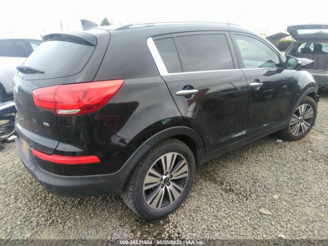 KNDPC3AC9E7578807 KIA Sportage Ex