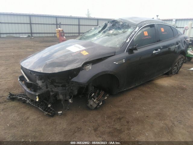 5XXGU4L1XKG289341 KIA OPTIMA EX
