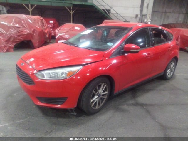 1FADP3K2XFL244717 Ford FOCUS SE