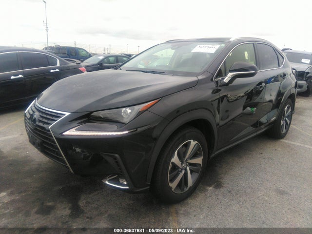 JTJGJRDZ3M2166352 Lexus Nx Nx 300h