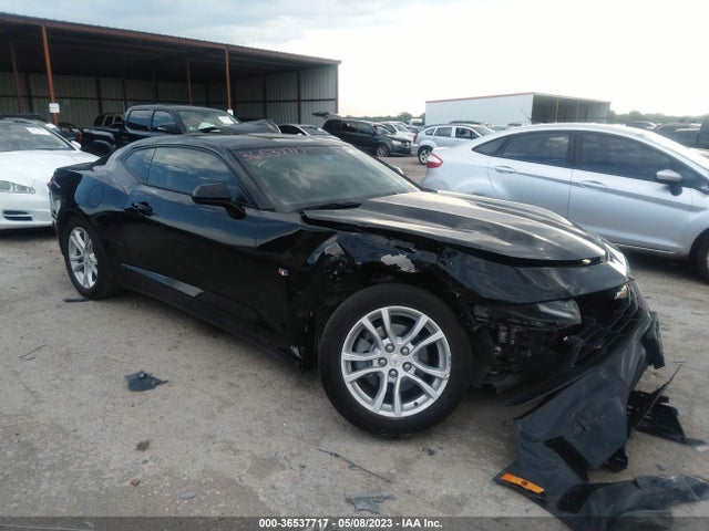 2023 1G1FB1RX0P0118501 main image