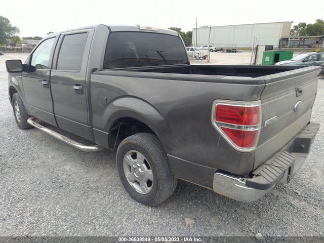 2010 FORD F-150 XL/XLT/FX2 SPORT VIN: 1FTEW1C84AFB04646