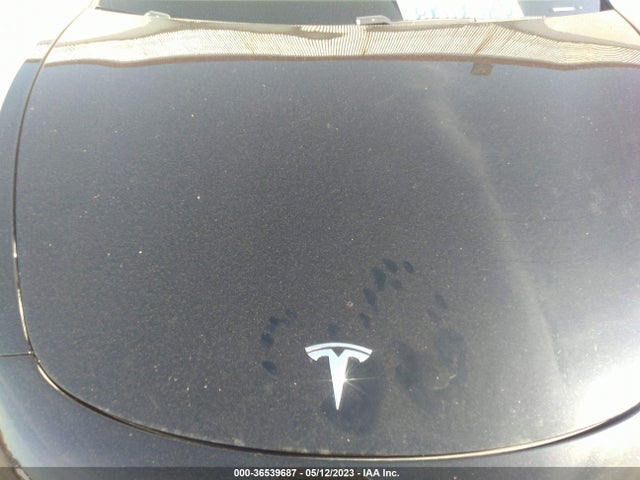 Tesla Model 3 Range 2019 5YJ3E1EA3KF399870 Image 10