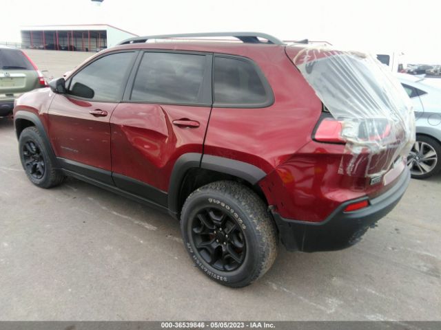 1C4PJMBXXLD509250 Jeep Cherokee Trailhawk