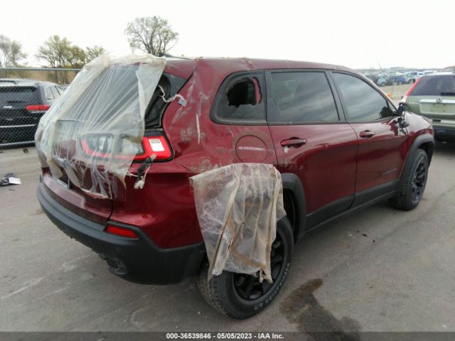 1C4PJMBXXLD509250 Jeep Cherokee Trailhawk