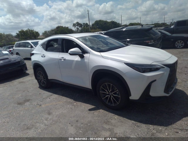 2022 Lexus NX, VIN: 2T2ADCAZ8NC001588
